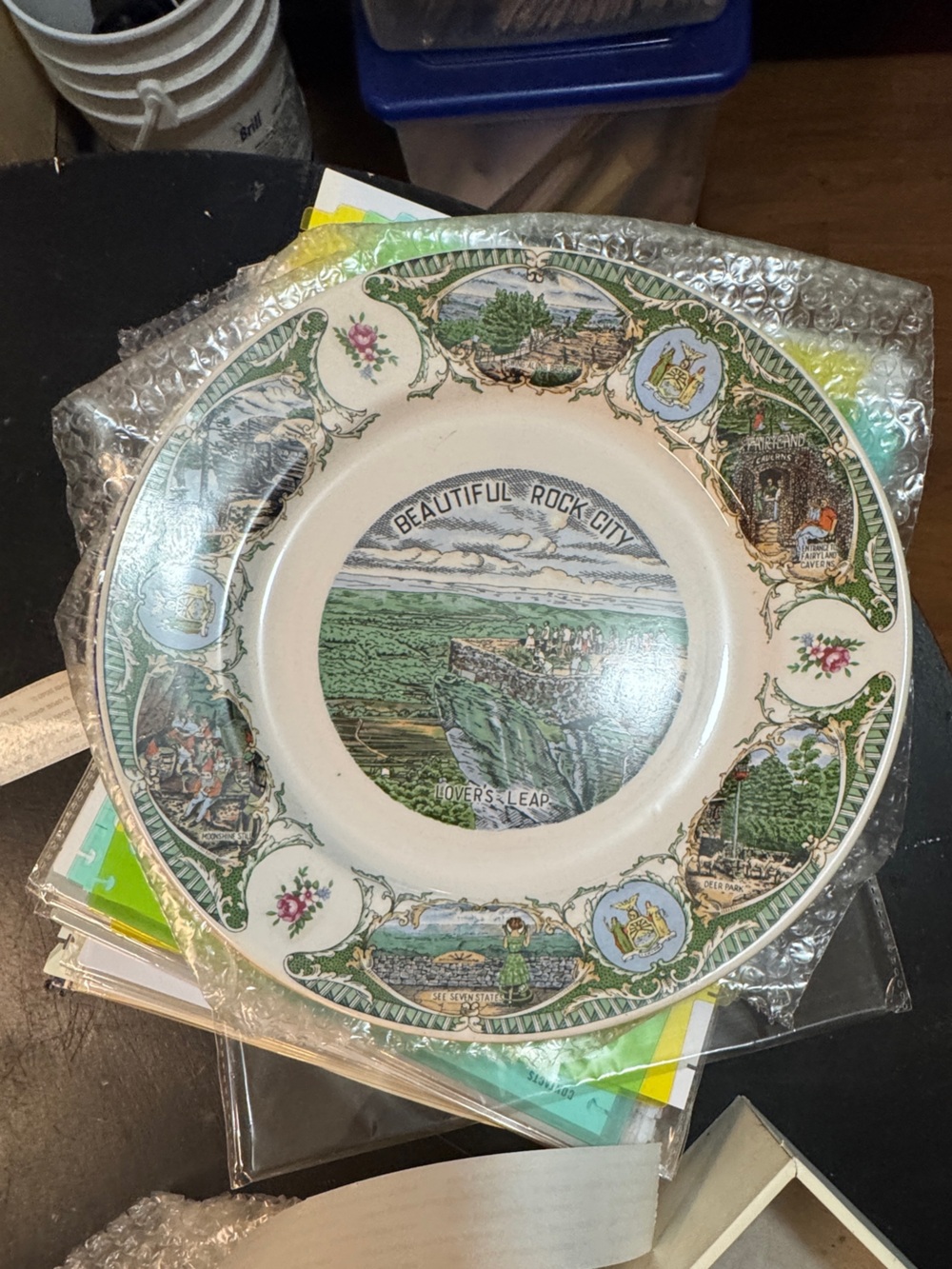 Green Scenic Decorative Dinner Plate with White Accents